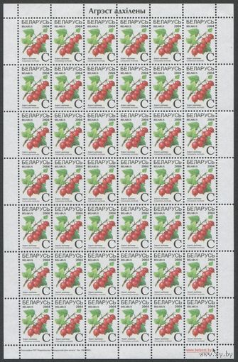 Беларусь 2004 #545. Лист Крыжовник отклоненный (42С, зак.395-2008)