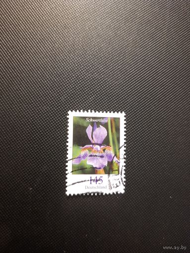 Германия. Цветы. 2006г. гашеная
