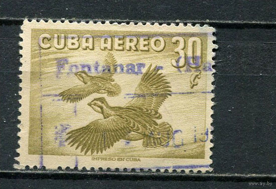 Куба - 1965 - Птицы 50С - [Mi.503] - 1 марка. Гашеная.  (LOT Fe47)-T10P38