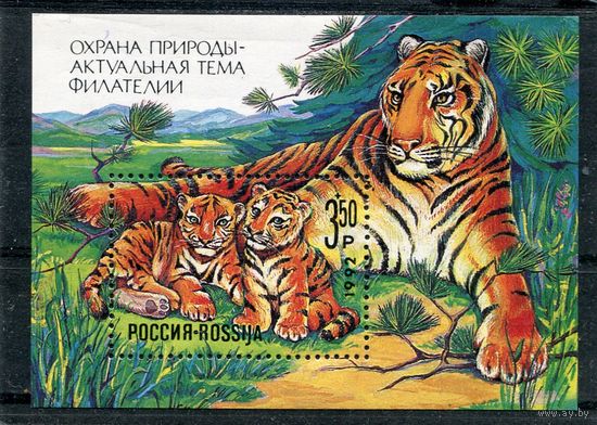 Россия 1992. Охрана природы. Сибирский тигр, блок