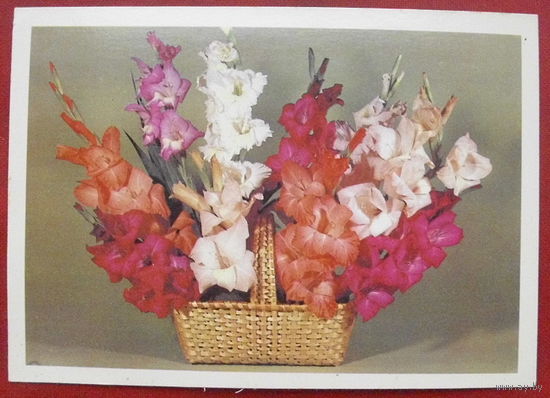 Цветы. Подписанная. 1984 года. Круцко. 913.