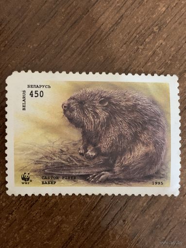 Беларусь 1995. Бобёр. Марка из серии
