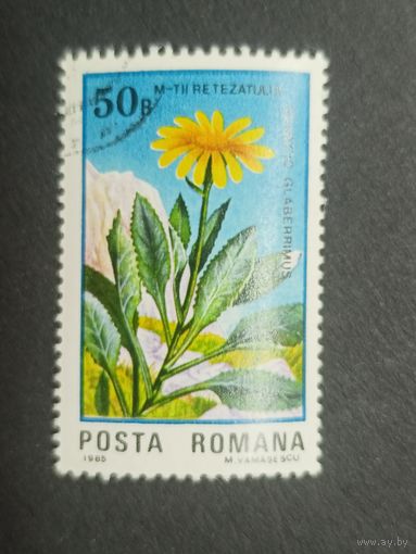Румыния 1985. Флора и фауна - 50-летие национального парка Ретезат
