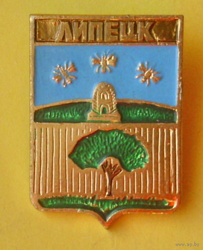 Липецк. 231.