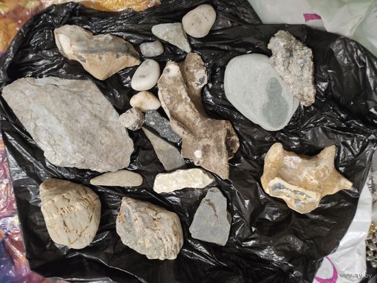 Окаменелости