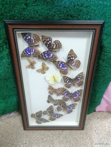 Панно Бабочки, красивое