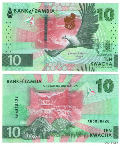 Замбия 10 квача 2024 год UNC