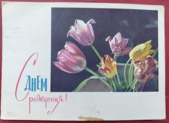 С днём рождения! Подписанная. 1965 года. Заикин. 1434.