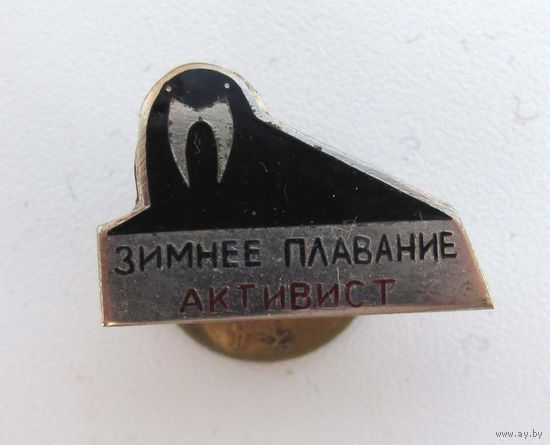 Активист. Зимнее плавание