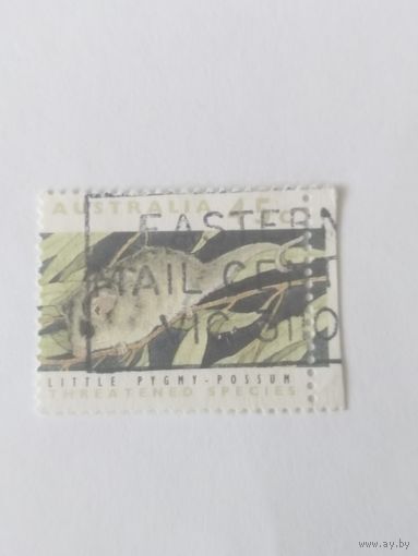 Австралия  1982