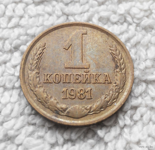 1 копейка 1981 года СССР #14