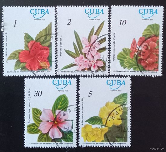 Цветы Кубы.