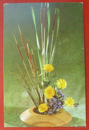Композиция из цветов. Чистая. 1977 года. Фото Тужикова. #334.