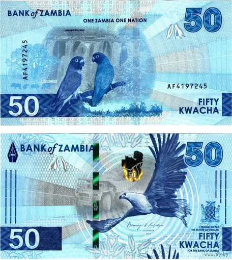 Замбия 50 квача образца 2024(2025) года UNC