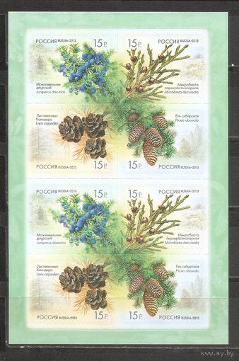 ФФ1 Россия 2013 Шишки самоклейка