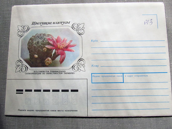С026-0052 Конверт Чистый Цветущие кактусы 1983
