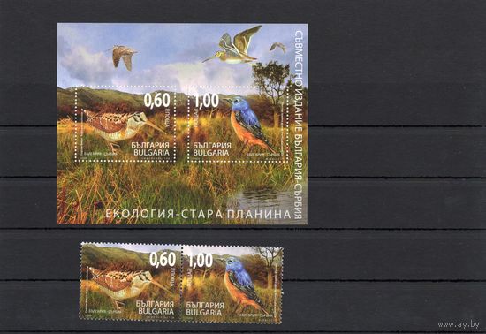 Болгария 2009.Фауна птицы Болгария-Сербия 2 марки+блок (4885)