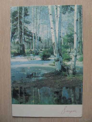 ПОДПИСАННАЯ ОТКРЫТКА СССР. 1969 ГОД. "8 МАРТА!" фото Н. МАТАНОВА.