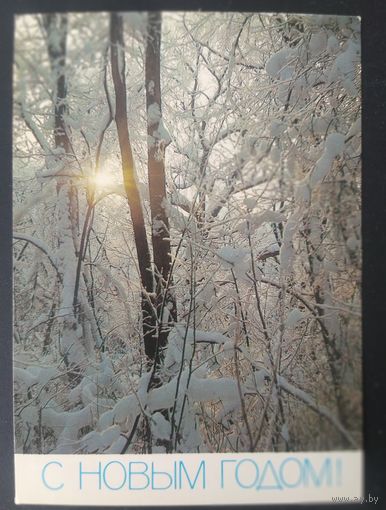 СССР 1987 открытка С новым годом, фото Жаворонкова.