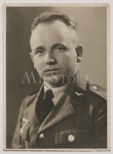 Потрет военнослужащего Люфтваффе.