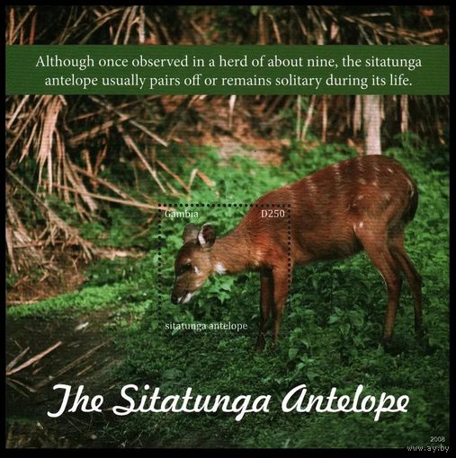 2020 Гамбия 7814/B1016 Фауна - Антилопа 12,50 евро