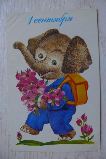 Галкина Н., 1 сентября; 1986, чистая.