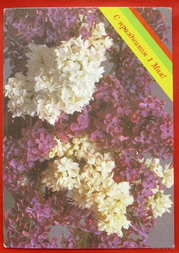 1 Мая! Подписанная. 1988 года. Овчинникова. # 305.
