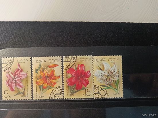 1989. Лилии, полная серия