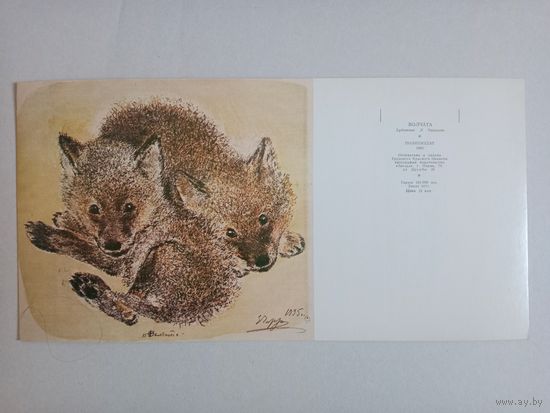 Чарушин,32 на 16,1983