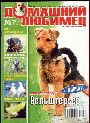 Домашний любимец #53