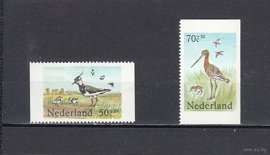 Фауна. Птицы. Нидерланды. 1984. 2 марки. Michel N 1246,1249 (3,5 е)