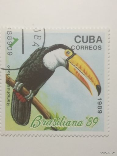 Куба 1989. Выставка Марок "Brasiliana ' 89". Рио де Жанейро. Птицы