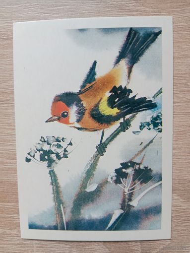 Каневский 1985 мини