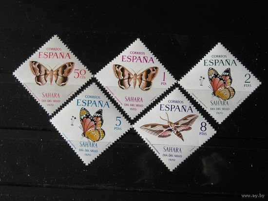 Испанская Сахара 1970, Бабочки