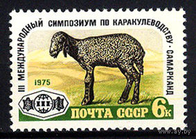 1975 СССР. Каракулеводство