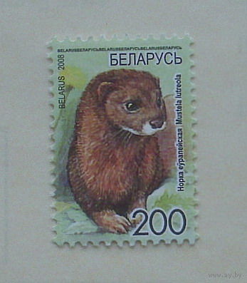 Беларусь. Стандарт. ( 1 марка ) 2008 года. 2-5.