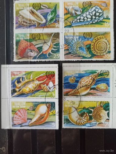 Эйнхаллоу. Ракушки