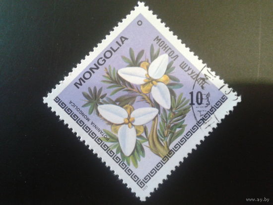 Монголия 1979 цветы