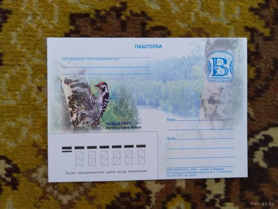 2008 Беларусь маркированная почтовая карточка фауна