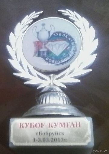 Кубок Кумган Бобруйск (Таэквондо)