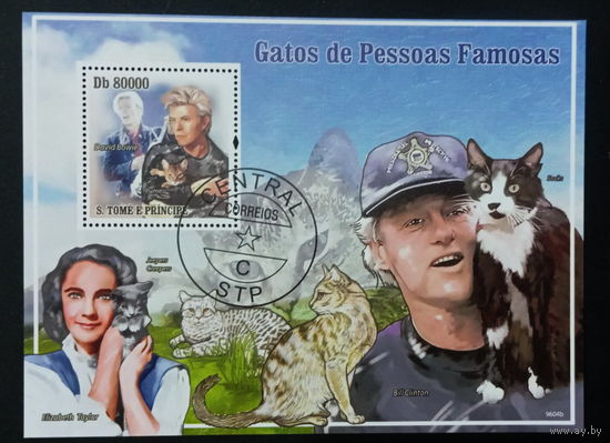 ФАУНА КОШКИ ПОРОДЫ КОШАК ЖИВОТНЫЕ     БЛОК  сто