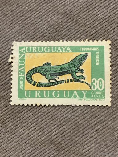 Уругвай 1970. Рептилии. Tupinambis Teguixin