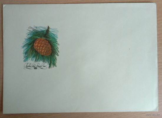 Конверт первого дня КПД СССР N551. Кедр. Художник Куртенко. 1980
