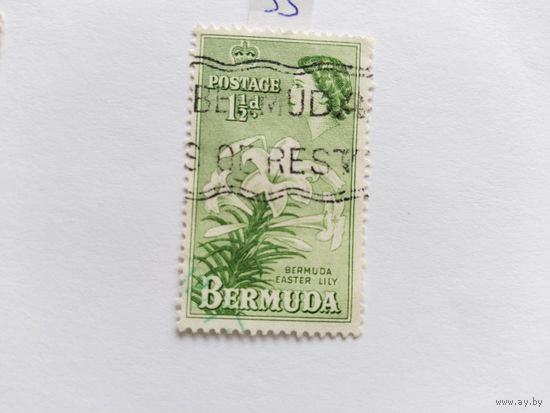 Бермуды 1953