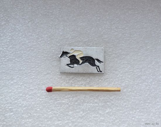 Конный спорт.