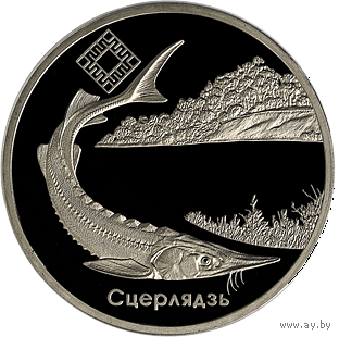 Стерлядь. Заказник Днепро-Сожский, 1 рубль 2007