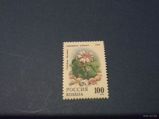 РОССИЯ 1994 кактус