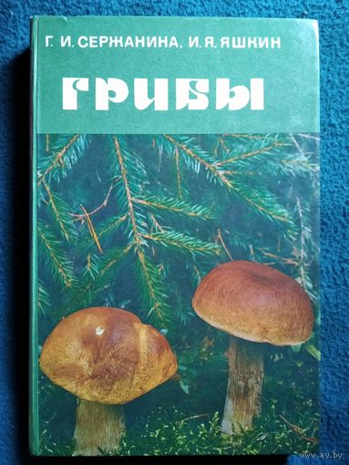 Грибы