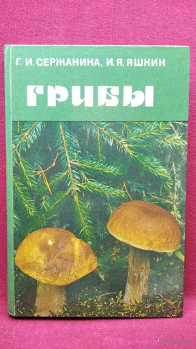 Грибы