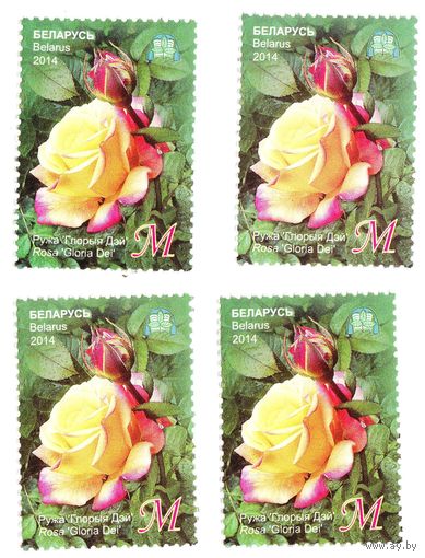 Марка Роза 'Глория Дей'